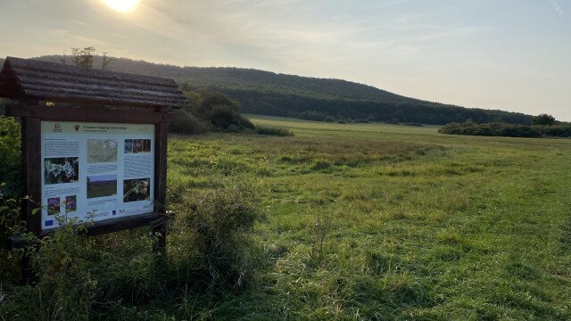 Red Elderberry Nature Trail