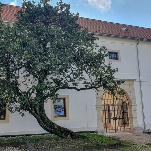 Schloss Széchényi, Fertőszéplak