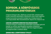 sörgyár