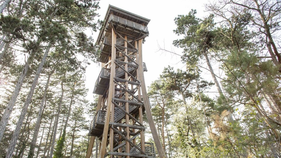 Sörházdomb Aussichtsturm (Bräuriegel) 