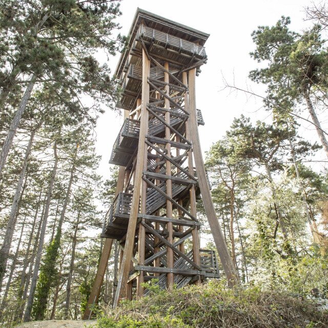 Sörházdomb Aussichtsturm (Bräuriegel) 