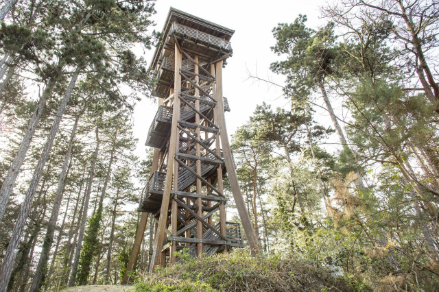 Sörházdomb Aussichtsturm (Bräuriegel) 