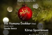 spontánusz
