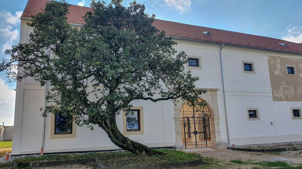 Széchényi Palace, Fertőszéplak