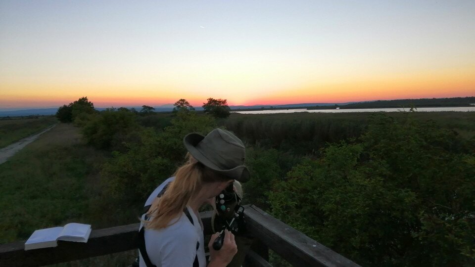 Sziki Őszirózsa Tanösvény