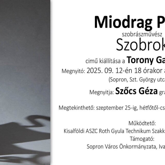 Szobrok - Miodrac Peric kiállítása a Torony Galériában