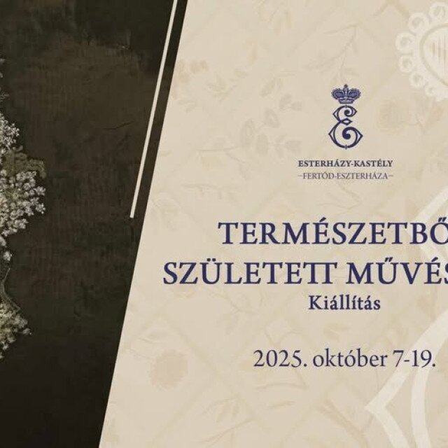 Természetből született művészet - kiállítás