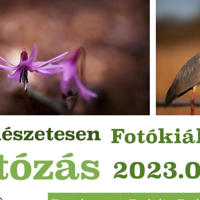 Természetesen Fotózás - Fotókiállítás