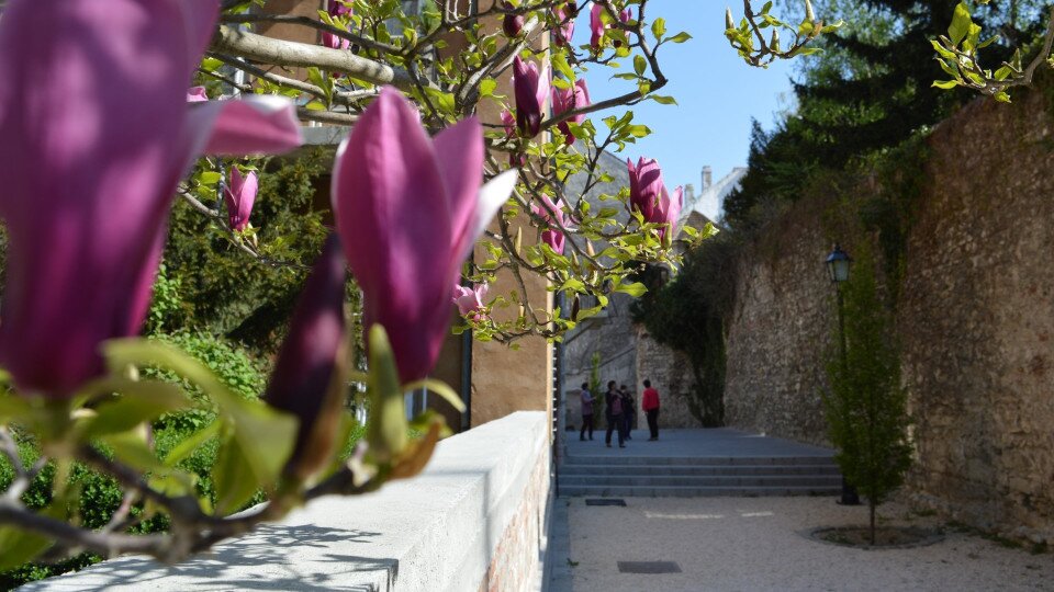 The Castle Wall Promenade and the Castle District