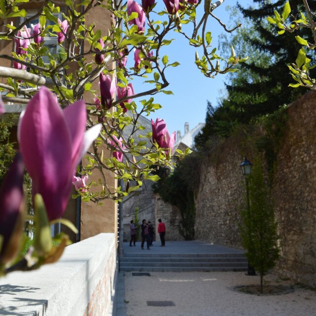 The Castle Wall Promenade and the Castle District