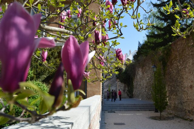 The Castle Wall Promenade and the Castle District