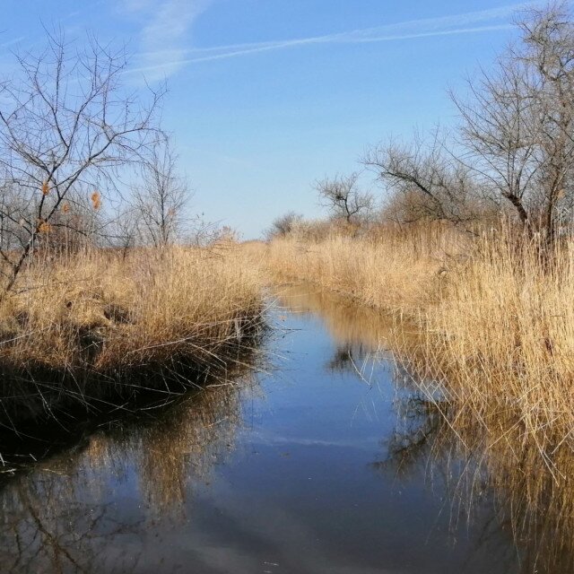 Through the rods Nature Trail