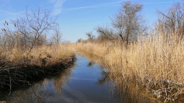 Through the rods Nature Trail
