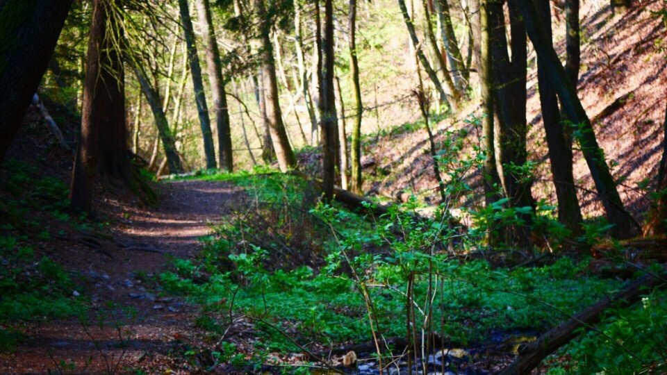 Tolvaj-árok circular hike 