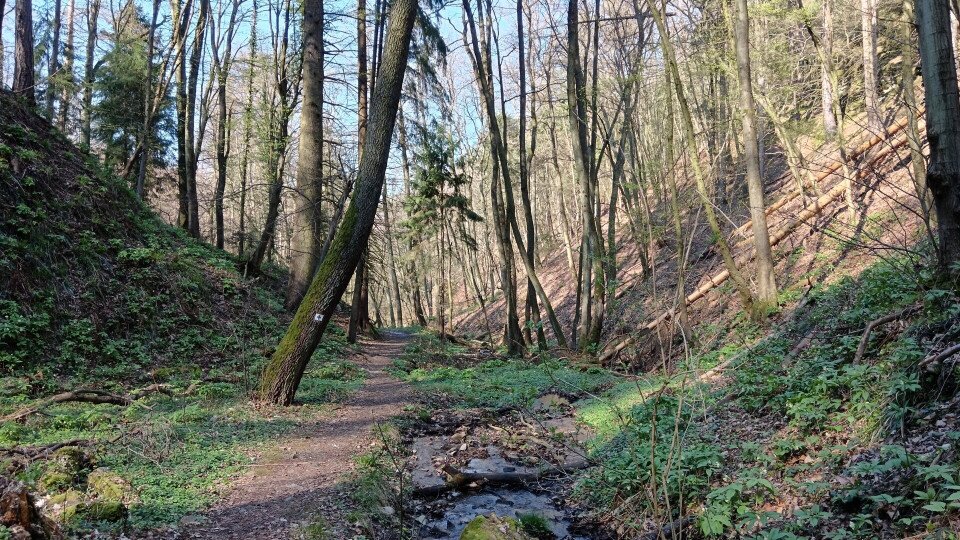 Tolvaj-árok  (Thieves’ Trench) Nature Trail