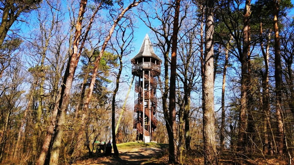 Várhely-Aussichtsturm (Burgstall)