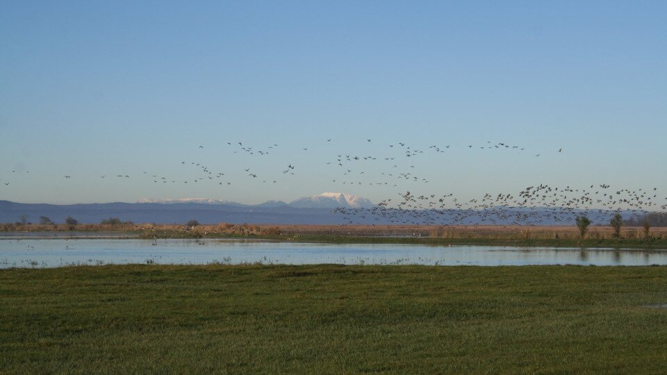 Vogelbeobachtungsturm Flur Borsod in Mekszikópuszta