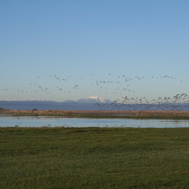 Vogelbeobachtungsturm Flur Borsodi in Mekszikópuszta