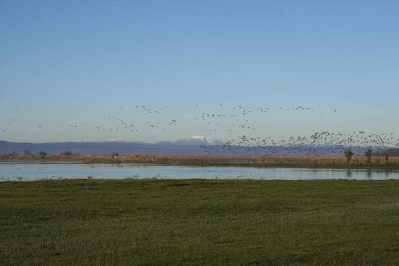 Vogelbeobachtungsturm Flur Borsodi in Mekszikópuszta